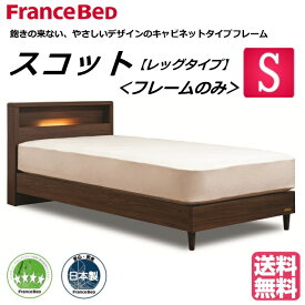 フランスベッド シングル ベッドフレーム スコット レッグ フレームのみ キャビネット LED照明 コンセント 波形スノコ床板 お掃除ロボット使用可能 組立・設置無料 送料無料