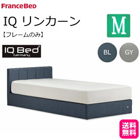 フランスベッド ベッド ベッドフレームのみ リンカーン セミダブル ベッドフレーム ベットフレーム IQベッド シンプル セミダブルサイズ フランスベッド製 ロータイプ ロータイプベッド ファブリック生地 ブルー グレー ポリエステル 送料無料