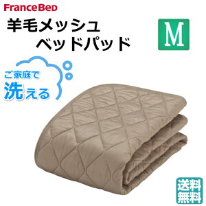 tXxbh I[V[YΉ rуbVxbhpbh Z~_u r100 \ LxȃTCYWJ ~pbh ~߃St pYr LiF 