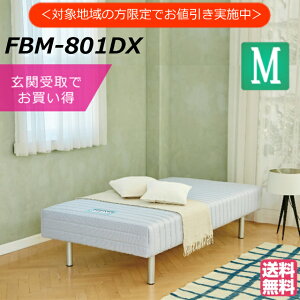 yΏےn 1,000~OFFzy֎łɂztXxbh rt}bgX FBM-801DX Z~_u { }bgX rt d r}bgX xbh}bgX r 