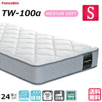 楽天市場】zt w055の通販