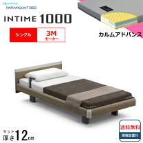 楽天市場】パラマウント インタイム1000 3モーターの通販