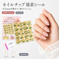 【★5.0高評価 】ネイルチップ 接着シール 強力粘着 ネイルグミ 両面テープ 透明タイプ 極薄0.3mm 水に強…