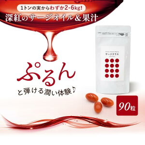 T[WNX Tv e  邨 n   IC VR Y Tvg Ci[PA  Y XN IKb_ r^~A r^~C r^~E Je