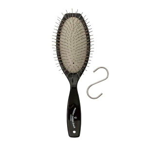 zS(HONGO) XeXNbV nO(StbNt)