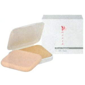 AoRXeBbNX SSpE_[t@f[VX[X 13g(tB) I[N