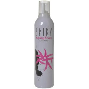 CRXeBNX XpCL[ X^COtH[ Egn[h 400g