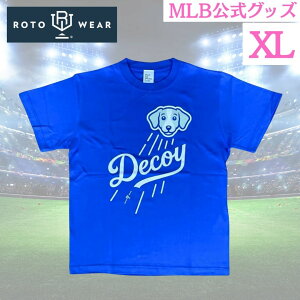 yzfRs TVc Jĕ  Ki hW[X LbY q Decoy u[ (XL)