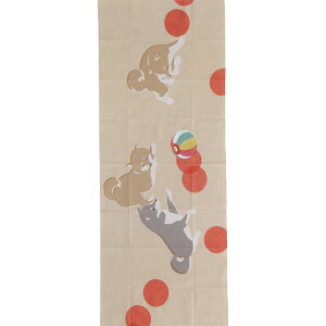 JAPATRA ʂ Dƌ { CNWFbgvgy2025SSz