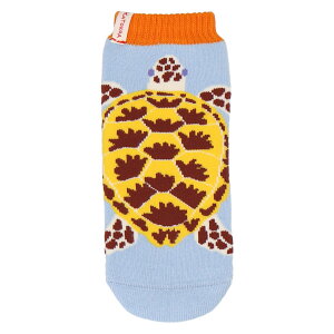 y KATOKOA mamoru iJgRA }j z jbg{gJo[@runrunV[Yy2025SSzyjbg {gJo[ 500mlp Jo[ ی Lk zyJVJ }lR qO} Lcl n@ng n