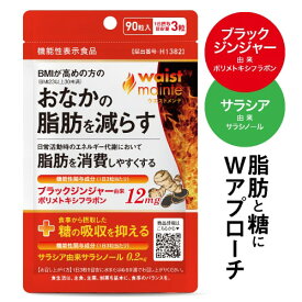 ブラックジンジャー と サラシア サラシノール ヒハツ サプリメント BMIが高めの方の お腹の脂肪を減らす 脂肪 を消費しやすくなる 食事の糖の吸収を抑える 糖分 [ダブル W 機能性表示食品 医師監修] ウエストメンテ 90粒 脂肪燃焼 [メール便]