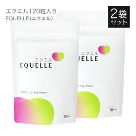 大塚製薬 エクエル パウチ 120粒 × 2袋 送料無料 4粒で10mgのエクオール配合（1日の目安） エクオール / 大豆イソフラボン / サプリ 2個セットEQUELLE 正規品 ご安心ください【大人気】【メール便】