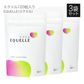 エクエル パウチ 【即日〜3営業日出荷】 大塚製薬 120粒 × 3袋 送料無料 3個セット エクオール 大豆イソフラボン サプリ EQUELLE 【メール便】