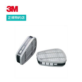 [6001] 有機ガス用吸収缶 1組 3M ( スリーエム ) 業務用 | 労働環境改善