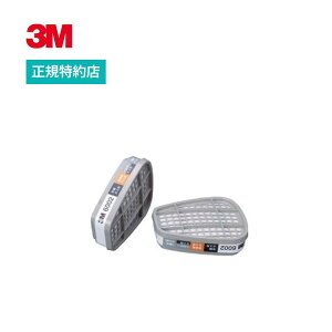 [6002] Rrl[Vz 1g 3M ( X[G ) Ɩp | JP