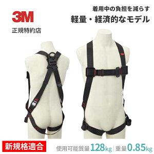 [1161648N] veN^ tn[lX 3M ( X[G ) Ɩp | S VKiK ė~p ė~