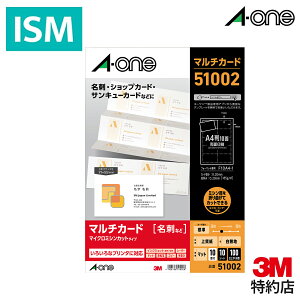 G[ }` J[h h 10 91mm×55mm W }CN~V n 10 V[g/pbN 51002 A-one Aone h e Ɩp