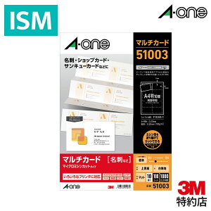 G[ }` J[h h 10 91mm×55mm W }CN~V n 100 V[g/pbN 51003 A-one Aone h e Ɩp