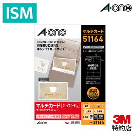 エーワン マルチカード 厚口 キャッシュカードサイズ 100枚分 プリンタ兼用 51164 1パック