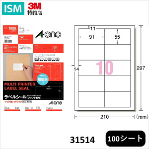 G[ x V[ v^p A4 10 lӗ]t 91mm×55mm 100 V[g/pbN 31514 A-one Aone h e Ɩp