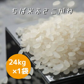 米 お米 白米 24kg ×1袋 ちば米 ふさこがね 令和5年産 本州四国 送料無料 小分け不可 25kg ⇒24kgへ変更