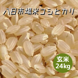 楽天市場】令和7年産 千葉県産 多古米 コシヒカリ 白米 15kg 5kg×3袋 