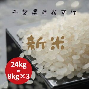 V ߘa7NY     24kg (8kg×3) {Bl  