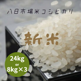新米 令和7年産 千葉県産 八日市場米 コシヒカリ 白米 24kg (8kg×3袋) 本州四国 送料無料 小分け可 米 お米