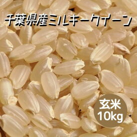 米 お米 玄米 10kg ミルキークイーン 令和5年産 本州四国 送料無料 紙袋 綺麗仕上 異物除去 石抜き済