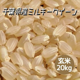 米 お米 玄米 20kg ミルキークイーン 令和5年産 本州四国 送料無料 紙袋 綺麗仕上 異物除去 石抜き済