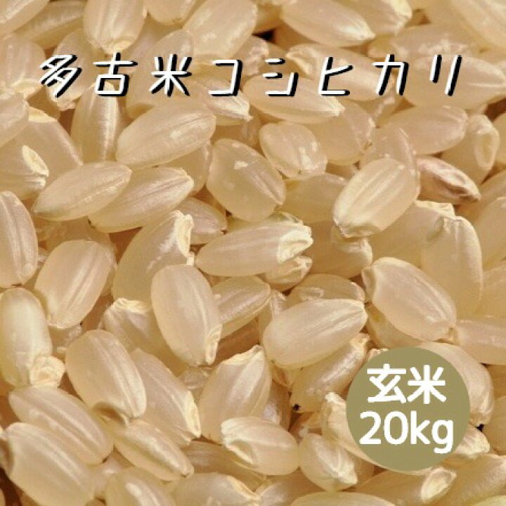 楽天市場】新米 令和6年産 米 お米 玄米 多古米 コシヒカリ 20kg 本州  