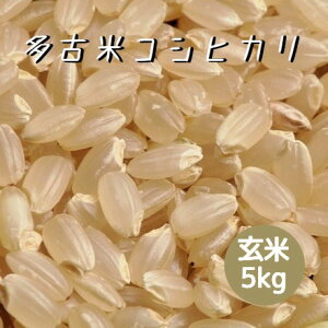 V ߘa7NY tY Õ RVqJ  5kg {Bl   Yd ٕ Δ  