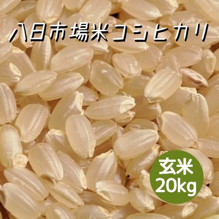 コシヒカリ 20kg - 玄米の人気商品・通販・価格比較 - 価格.com