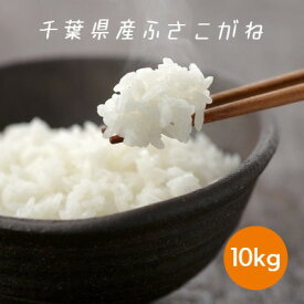 米 お米 白米 10kg 5kg×2袋 ふさこがね 令和5年産 本州四国 送料無料