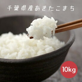 令和7年産 米 お米 あきたこまち 白米 10kg 5kg×2袋 本州四国 送料無料 アキタコマチ 秋田小町 秋田こまち
