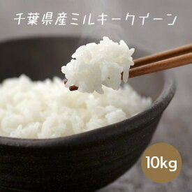 米 お米 白米 10kg 5kg×2袋 ミルキークイーン 令和5年産 本州四国 送料無料