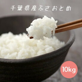 米 お米 白米 10kg 5kg×2袋 ふさおとめ 令和5年産 本州四国 送料無料