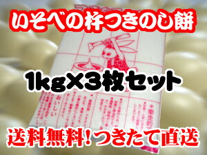 󒍐Y n  `  ̂ ̂ 1kg×3 Zbg  Ԍ  Y