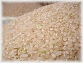 米 令和1年産 ふさこがね 玄米 25kg 綺麗仕上 送料無料 精米無料 小分け可 小分け時紙無し 30kg商品から変更 ※北海道・九州は別途送料400円 ※沖縄は別途送料1,000円