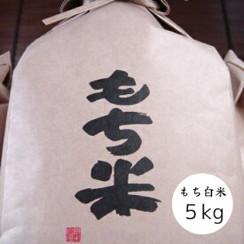 米 お米 白米 もち米 5kg 本州四国 送料無料 モチ米 餅米