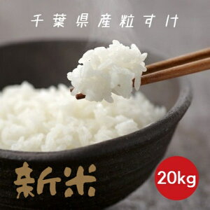 V ߘa7NY     20kg 5kg×4 {Bl 