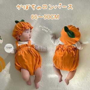 nEB RXv q 2_Zbg nEB ߑ q p[X ̎q ڂ j̎q RXv ߑ p[eB[  Ԃ JK[ xr[ xr[ LbY Jo[I[