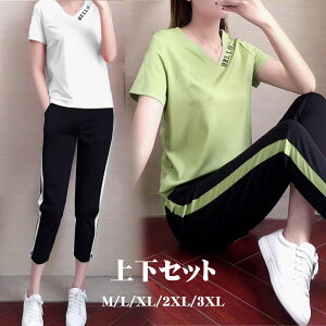 ㉺ ZbgAbv 2_Zbg Jbg\[ pc   [EFA  yX  fB[X 50 ZbgAbv  ZbgAbv fB[X W[W fB[X ㉺Zbg 