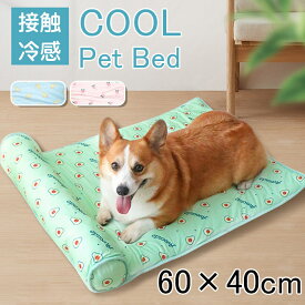 ペット クールマット ペットベッド クール ペットベッド 洗える ペットベッド ひんやり ペット ひんやりマット 犬 ひんやり グッズ ペット用品 犬 猫 ベッド 夏用 ひんやり 猫 ベッド 夏用 ひんやり 猫 ベッド おしゃれ ペット クッション枕付き 冷感 洗える 夏 ふわふわ