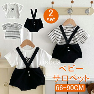 xr[ Tybg  xr[ TXy_[ ̎q j̎q p[X t xr[ q LbY I[o[I[ Ԃ Rbg 킢  Ȃ Vv q qǂ V