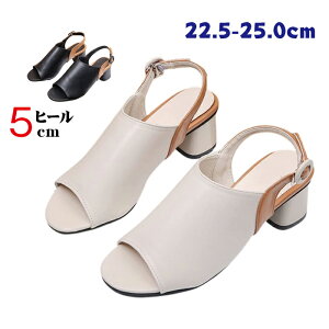 `L[q[T_AI[vgD`L[q[pvX fB[X nCq[T_ T_ ~hq[ T_V[Y 5cm q[ ؍ nCq[ Vv 