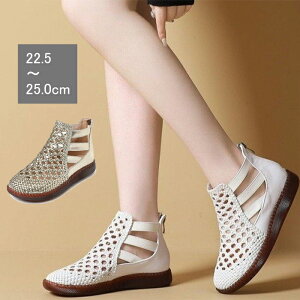 u[cT_ ₷ u[cT_ fB[X T_ V[Y fB[X  ₷ 50  fB[X T_  T_ fB[X  nCJbg u[cT_  