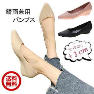 Jp pvX CpvX CV[Y ɂȂ ʋ  L 3e fB[X ₷ EFbW\[  h ~J΍ Jp y pvX [q[ 3cm y h