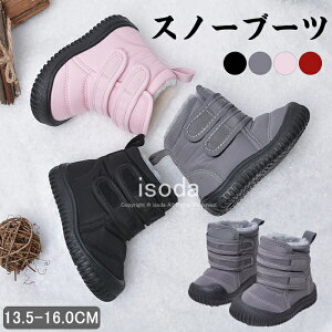 Xm[u[c Xm[ u[c LbY WjA j̎q ̎q [gu[c V[Y N h H~ EB^[u[c ~C h h xr[ C c g   ʉ ʊw V