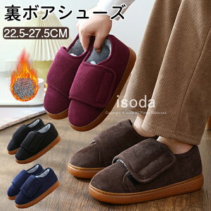 V[Y fB[X Y L ₷ ʃt@Xi[ C RtH[gV[Y N Xb| nr V[Y y EH[LOV[Y C O ɂ 